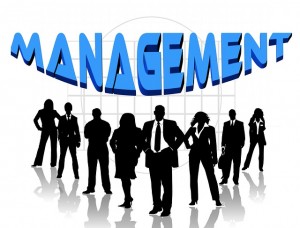 Management